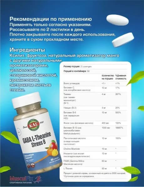 GABA L-Theanine Stress B 100 таблеток