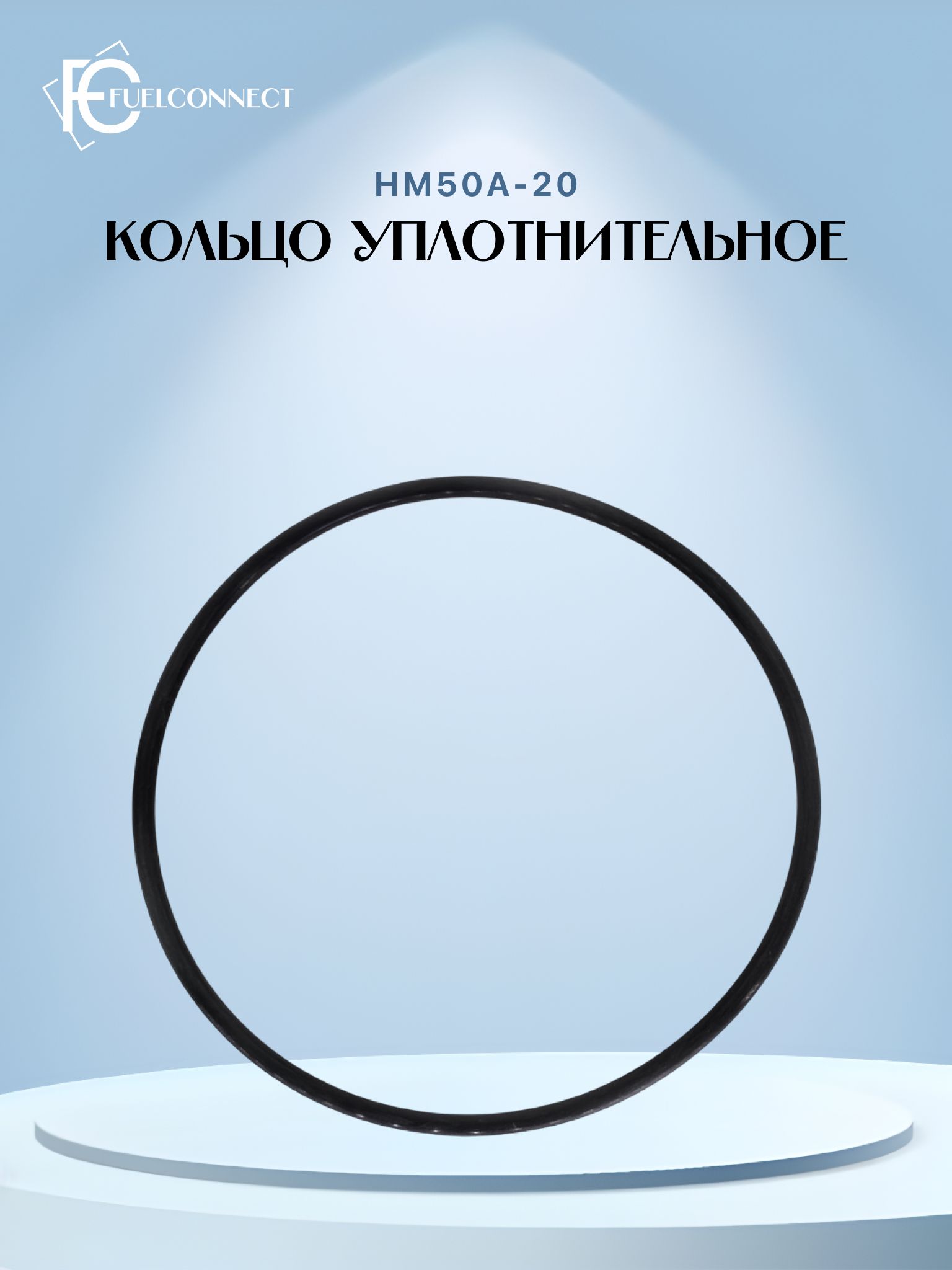Кольцо уплотнительное крышки моноблока НМ50А-20м / Fuel Connect