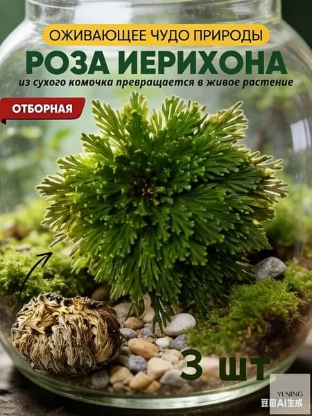 Воскрешение сухих цветов/Восстанавливает цвет при попадании воды,3 шт