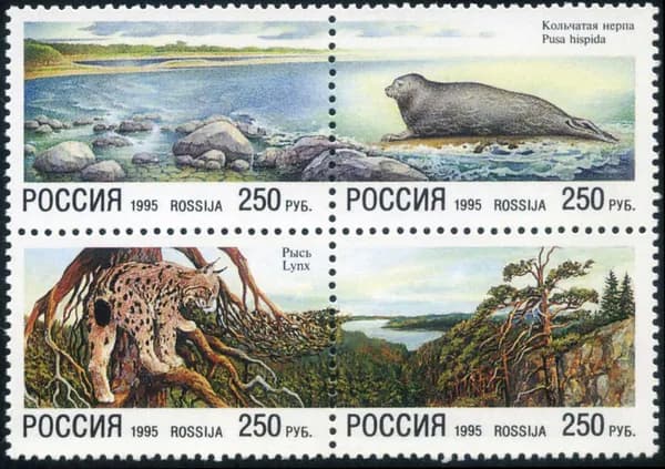 Россия-1995. Природные заповедники. Кольчатая нерпа. Рысь. Блок из 4 марок. Негашеный