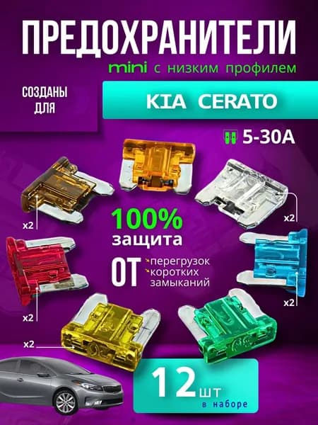 Предохранители для КИА Церато (KIA Cerato) / автомобильный набор Мини с низким профилем, 12 штук с пинцетом / флажковые 5-30 А