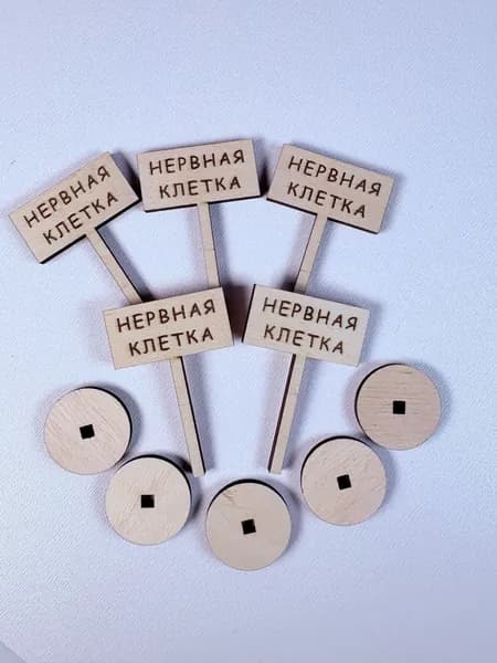 Таблички с надписью "Нервная клетка" 5 шт. 6 см. Таблички для оформления игрушек и рукоделия.