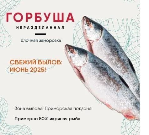 Горбуша 6 кг неразделанная мороженая глазированная Свежий вылов: июнь 2025 года икряная рыба