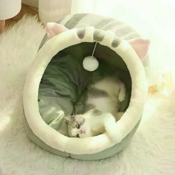 домик для кошки