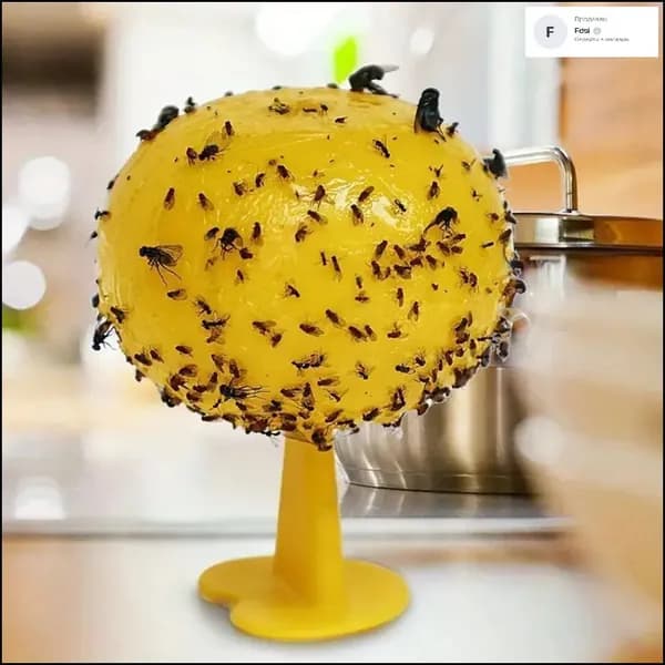 Ловушка для садовых вредителей