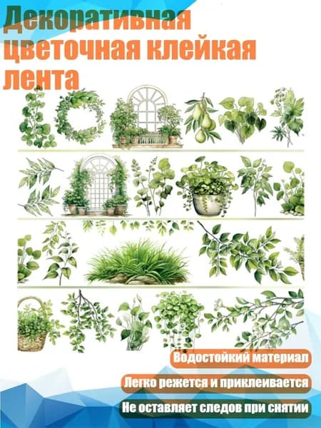 Настенная карта