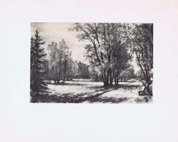Санкт-Петербург. Павловск. Павловский парк. Парадное поле. Антикварная офсетная литография. Ленинград, 1971 год