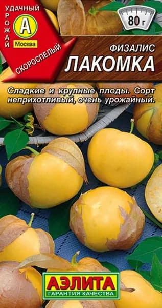 Физалис Лакомка, семена Аэлита