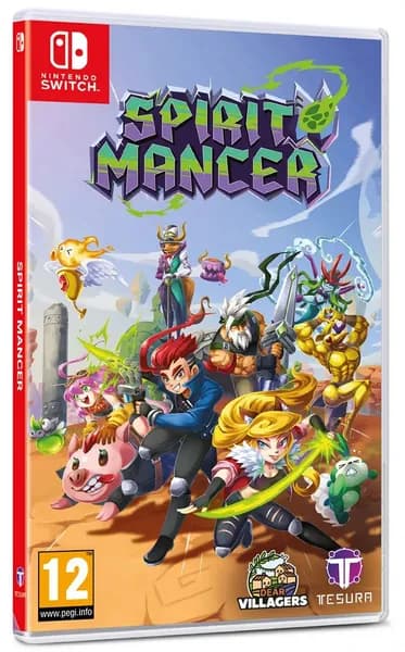 Игра Spirit Mancer (Nintendo Switch, Английская версия)