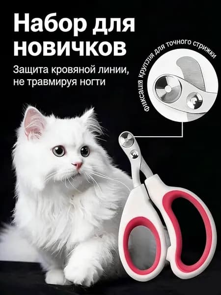 Специальные ножницы для ногтей для кошек подходят для новичков.