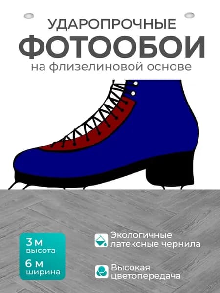 Фотообои "Коньки, катание на коньках, фигурное." 6x3м