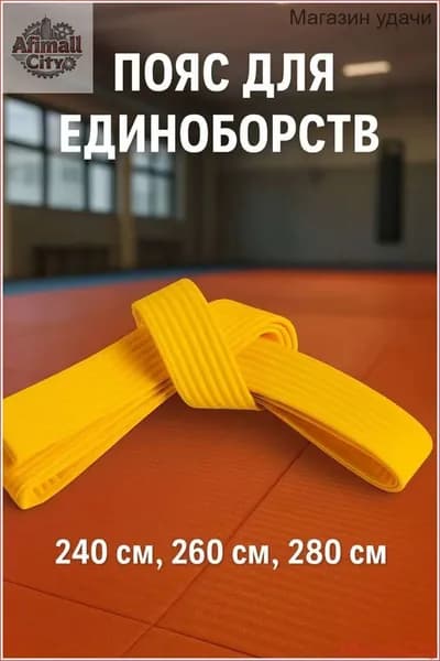 Пояс для единоборств