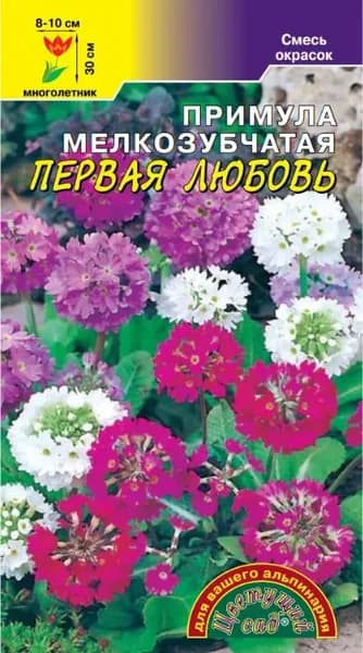 Примула мелкозубчатая Первая любовь смесь окрасок, 0,01 г семян