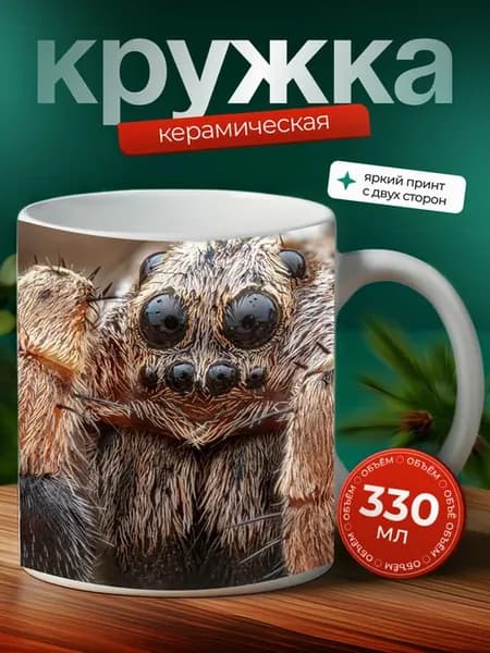 Кружка Амирок паук паукообразное 7