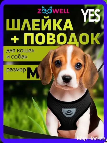 Шлейка и поводок для кошек, маленьких пород собак и хорьков ZOOWELL, набор для прогулок, черный размер M