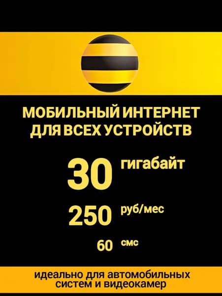 Сим-карта Билайн для любого устройства (модема, роутера, автомагнитолы и т.д.), 30 ГБ, 60 смс, 250 руб/мес, безлимит на соцсети и мессенджеры. Самостоятельная регистрация.