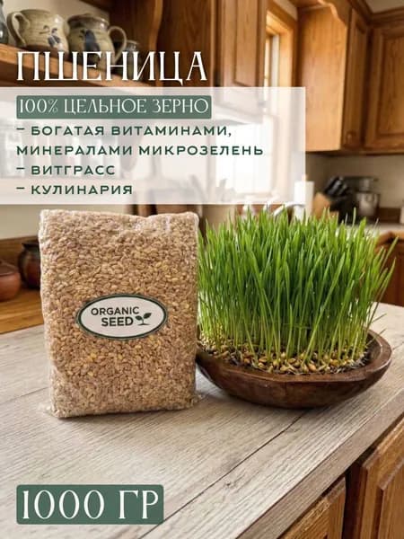Зерно пшеницы 1 кг OrganicSeed, Пшеница твердая для проращивания и кулинарии