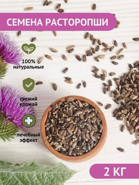 Расторопша семена для проращивания - 2 кг / Семена расторопши для лечения печени