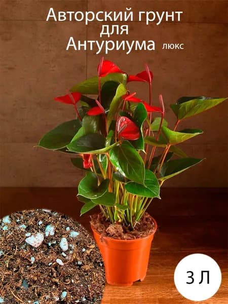 Грунт для антуриума люкс 3 литра
