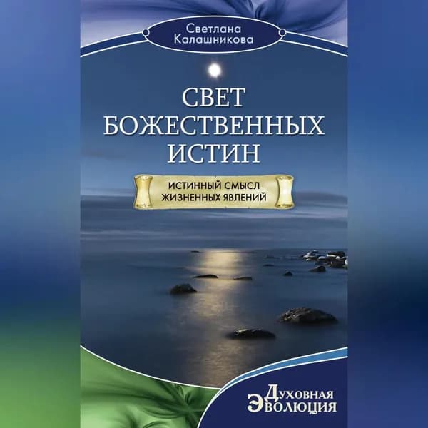 Свет Божественных Истин. Истинный смысл жизненных явлений | Калашникова Светлана Анатольевна | Электронная аудиокнига