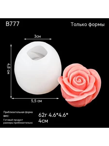 Плесень из тюльпанов и роз