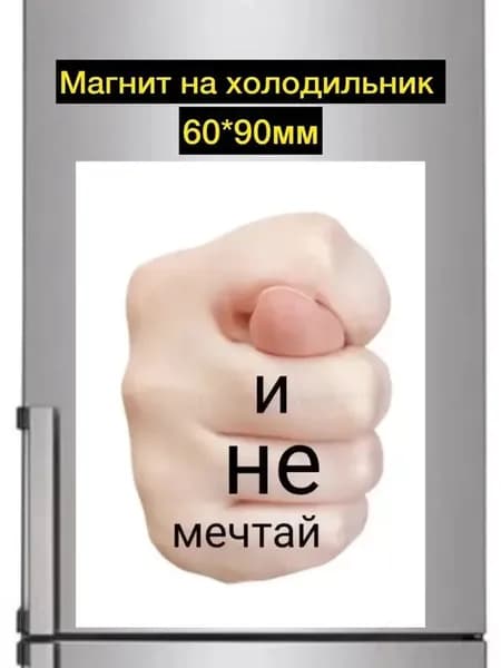Магнит на холодильник И не мечтай
