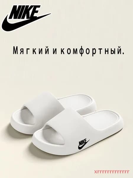 Сланцы