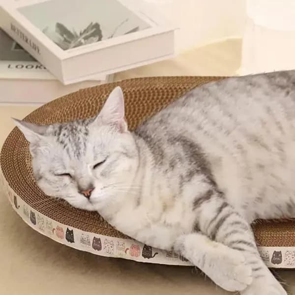 Когтеточка для кошек из ДСП