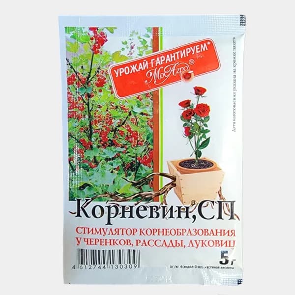 Корневин 5 г 1 штука корнеобразователь
