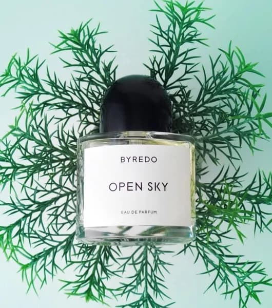 Every thing for me Наливная парфюмерия Open Sky/разливная парфюмерия 50 мл