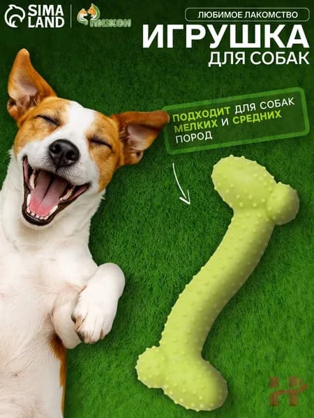 Игрушка жевательная "Любимое лакомство", TPR, 11 х 4 см, салатовая