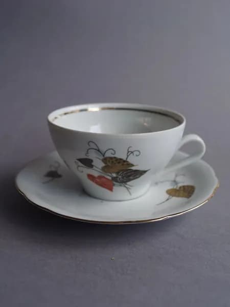 Винтажная чашка с блюдцем "Бегония". Фарфор, Kahla. ГДР, 1970-1980 (Объем: 150 мл)
