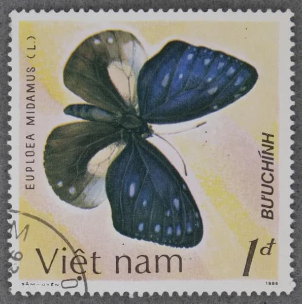 Почтовая марка "Euploea midamus". Номинал 1 d. Viet nam. 1987 год. (Michel VN 1803)