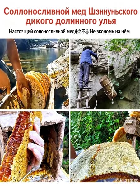 Сто цветов, дикий мед