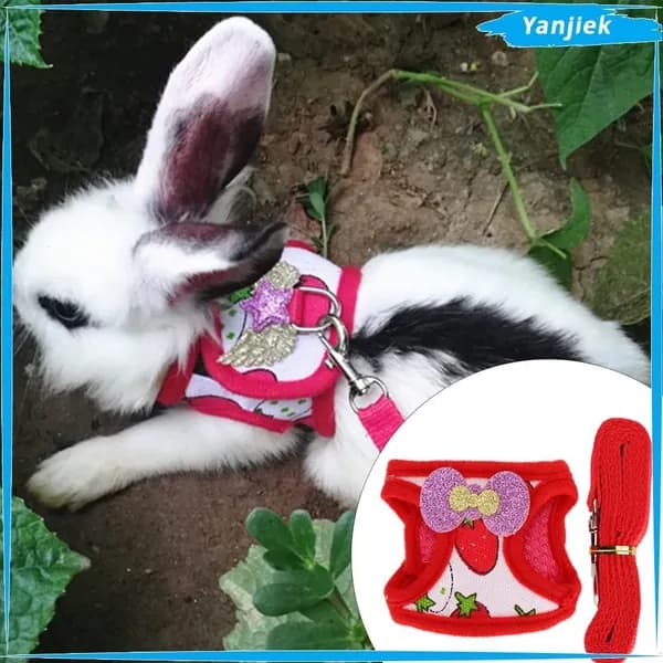 Поводок для домашних животных, уникальная форма для комфортных прогулок с кроликами и хомяками на свежем воздухе Номер S