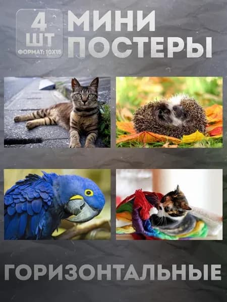 Мини постеры 10 на 15 (набор) «Животные» 4 шт