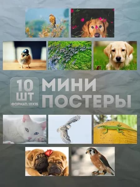 Мини постеры (набор) «Животные» 10 шт
