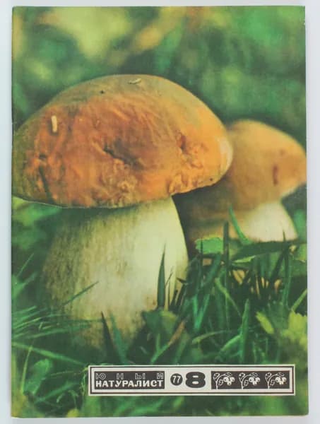 Винтажный журнал СССР Юный Натуралист, 1977 год
