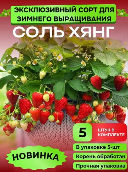 Клубни