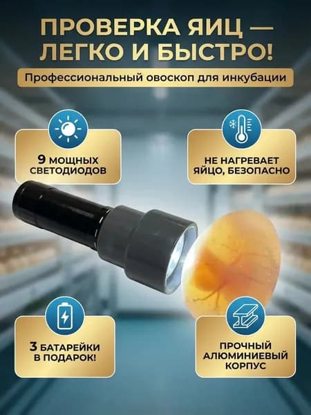 Овоскоп