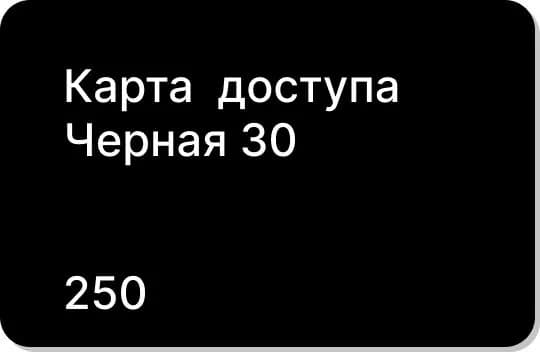 Карта доступа Черная 30