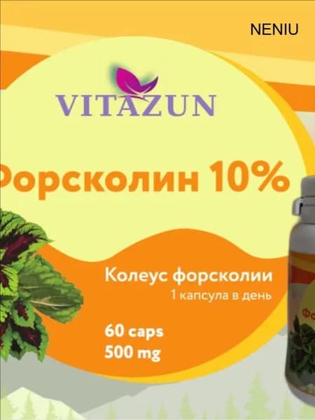 Форсколин Крапива индийская 500 мг. Экстракт 10:1. (тестостероновый бустер/жиросжигание)