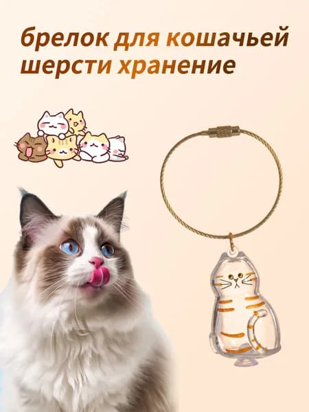 Прозрачный памятный кулон-капсула из кошачьей шерсти, милый, в форме кошки, подарок для любителей кошек