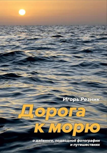 Дорога к морю. О дайвинге, подводной фотографии и путешествиях | Игорь Резник | Электронная книга