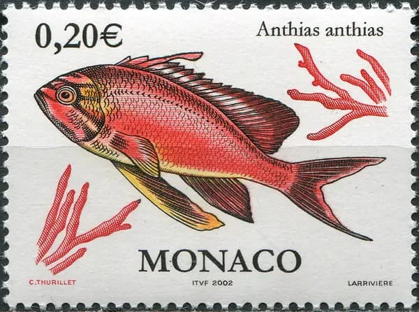 Монако 2002. Средиземноморский антиас (Anthias anthias) (MNH OG) Почтовая марка