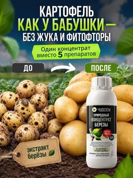 Удобрение для картофеля от колорадского жука и фитофторы