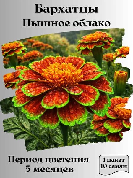 Бархатцы Пышное облако, семена, 10 шт.