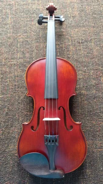 Скрипка 4/4 Falcolini Speranza (качественный чехол и смычок в комплекте)