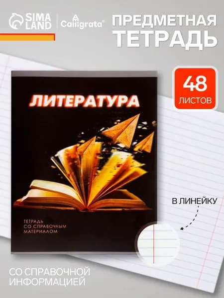 Тетрадь предметная 3D "Литература" 48 л в линейку обложка мелованный картон, (серые листы)