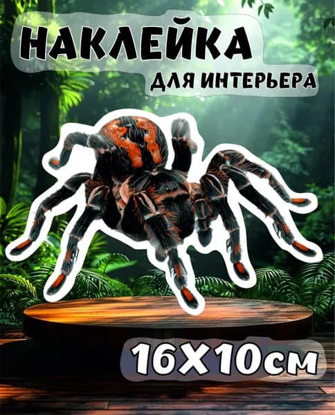Наклейка Паук, интерьерная, на авто, холодильник, дверь 3D эффект, 16х10